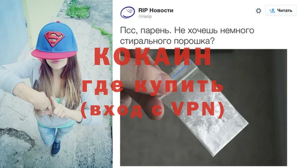 гашик Карпинск