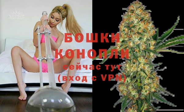 амф Коряжма