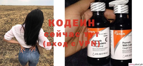 гашик Карпинск
