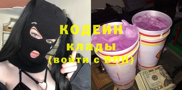 гашик Карпинск