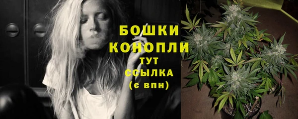 гашик Карпинск