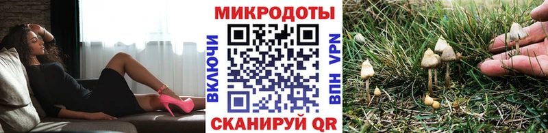 Галлюциногенные грибы Cubensis сколько стоит Сурск