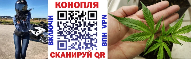 закладка  Сурск  кракен как войти  Шишки марихуана семена 